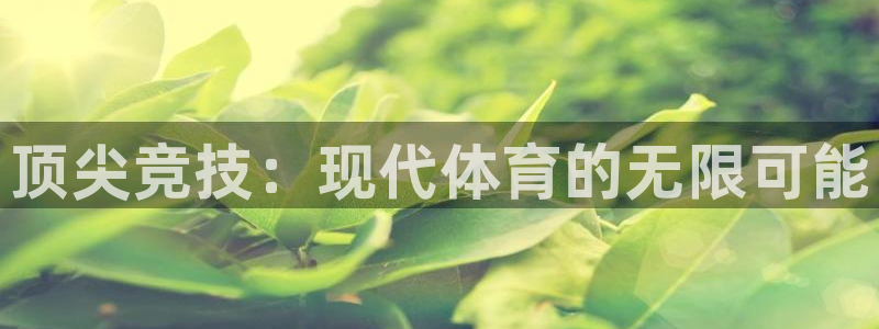 米兰体育官方正版app集团logo：顶尖竞技：现代体