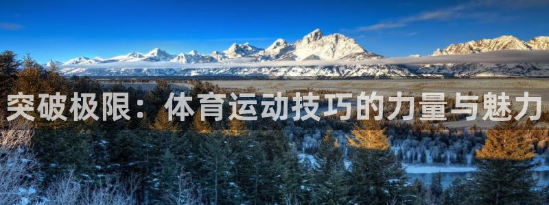 米兰体育官方正版app娱乐下载：突破极限：体育运动技巧的力量