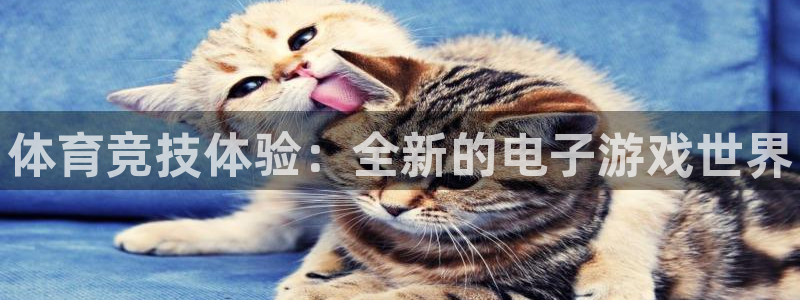 米兰体育官网下载平台注册流程图：体育竞技体验：全新的