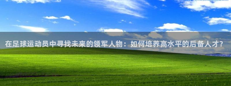 米兰体育官方正版app集团官网网址：在足球运动员中寻