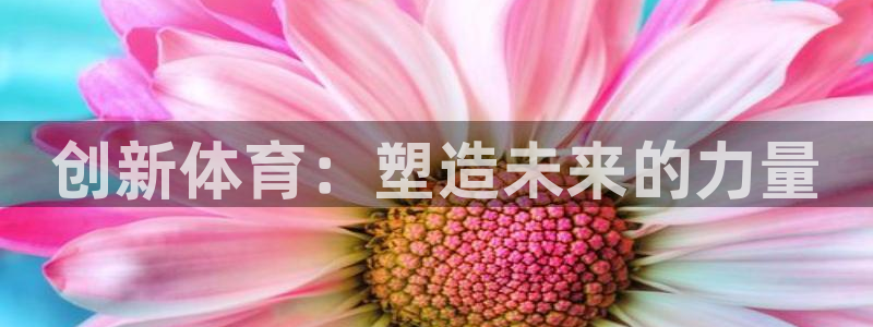 米兰体育官方正版app娱乐是那个系列的台子：创新体育