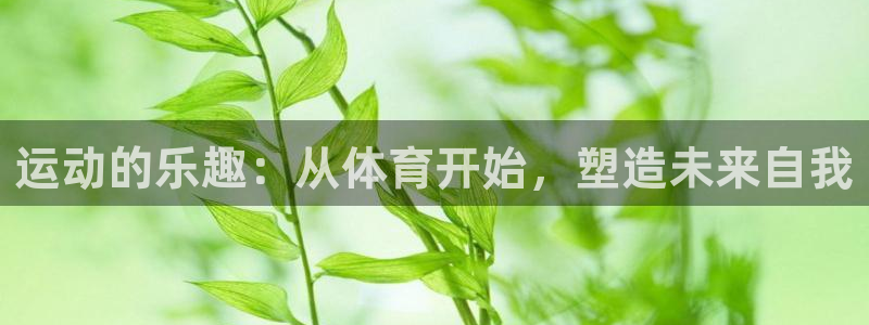 米兰体育官方正版app集团官网网址：运动的乐趣：从体