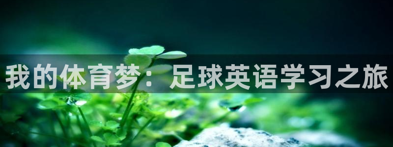 米兰体育官网下载官方客服电话:我的体育梦:足球英语学习之旅